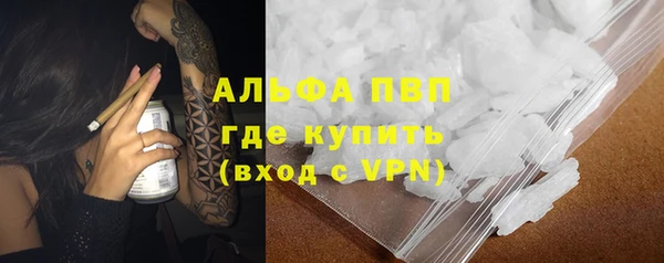 ГАЛЛЮЦИНОГЕННЫЕ ГРИБЫ Заволжье