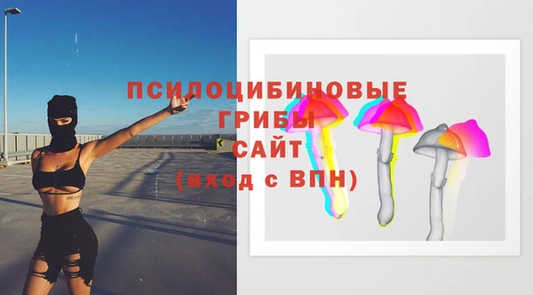 mdpv Зеленодольск