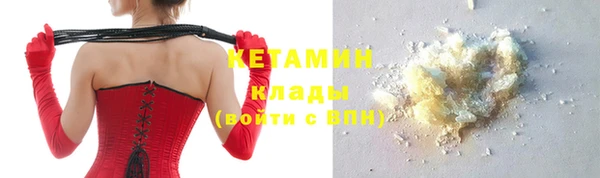 стафф Заводоуковск