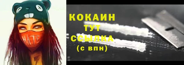 стафф Заводоуковск