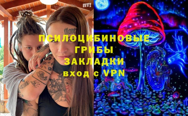 ГАЛЛЮЦИНОГЕННЫЕ ГРИБЫ Заволжье
