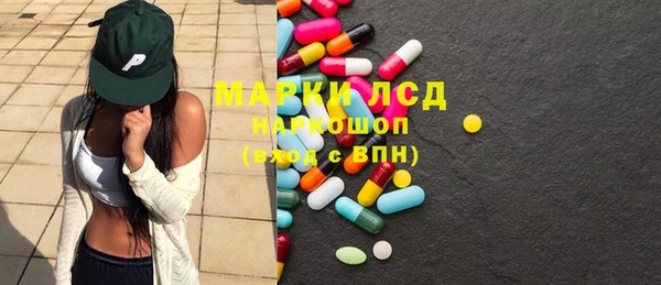 ГАЛЛЮЦИНОГЕННЫЕ ГРИБЫ Заволжье
