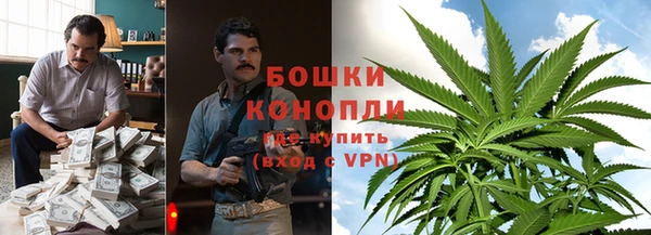 стафф Заводоуковск