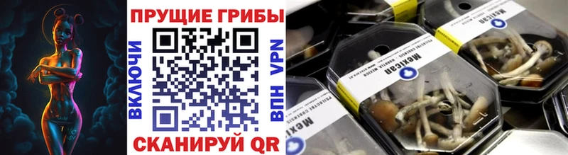 Галлюциногенные грибы мухоморы Солнечногорск