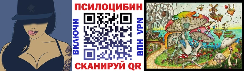 дарнет шоп  Солнечногорск  Галлюциногенные грибы GOLDEN TEACHER 