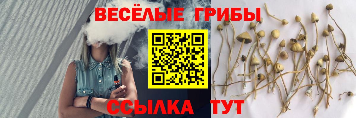 Галлюциногенные грибы GOLDEN TEACHER  Вход с VPN  Солнечногорск 